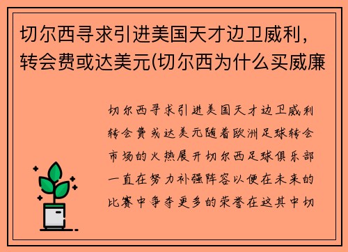 切尔西寻求引进美国天才边卫威利，转会费或达美元(切尔西为什么买威廉)