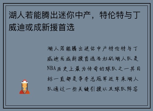 湖人若能腾出迷你中产，特伦特与丁威迪或成新援首选
